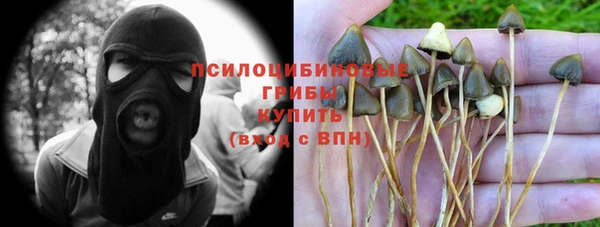 MDMA Premium VHQ Ладушкин
